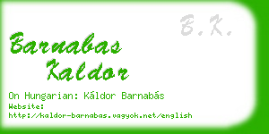 barnabas kaldor business card