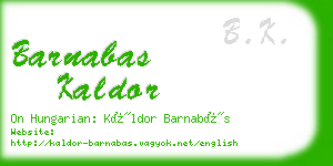 barnabas kaldor business card